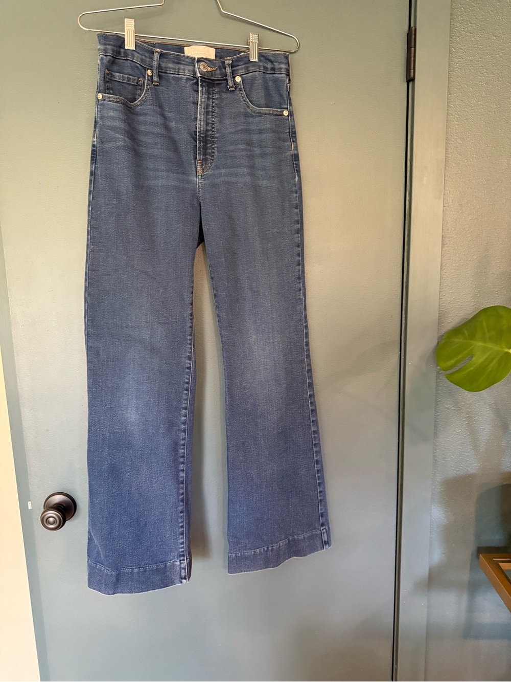 Everlane High-Rise Flare Jeans in Medium Blue Wash